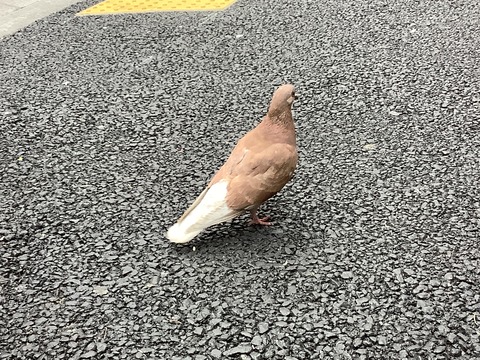 B52BC6E6-7C14-4413-8138-6C891A72AD40