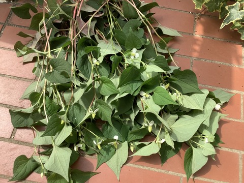 318D3F46-F71A-4923-A016-E34FE70B978E