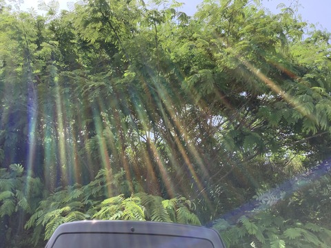 1A8A209F-9516-47D3-A491-F6705C32DC00