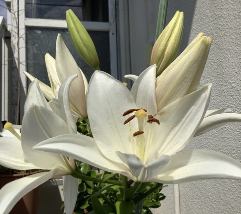 BFAE53DD-2C5A-46E2-B0E5-6175DDCE2034