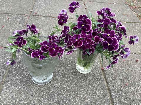 560057AF-17B3-4837-A122-C838F1E05B59