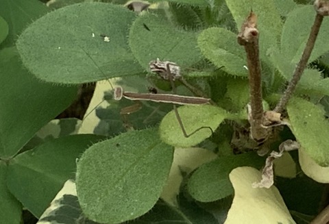 3D535449-F149-4B8B-8F61-AA44DCEA699F