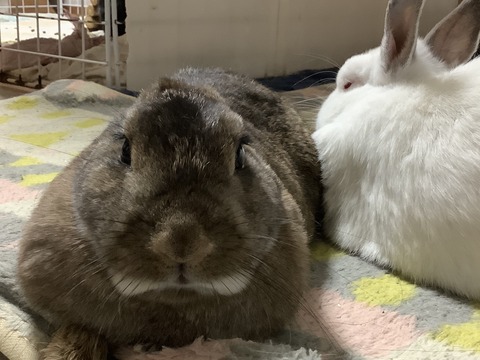 CE3D1E7E-FCC8-4950-80AF-D0EC6A8F7129