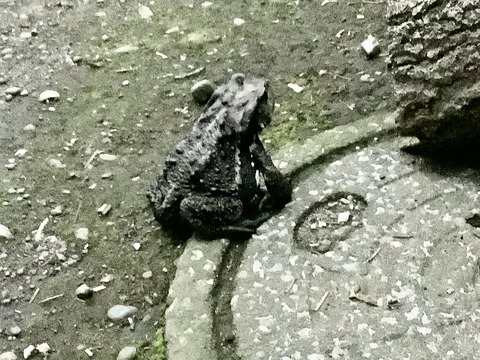 B8E53E7C-0435-4012-BC23-4EE703491E13