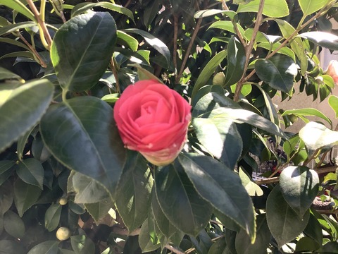 D5C67ED0-3172-4510-813F-0223964AB014