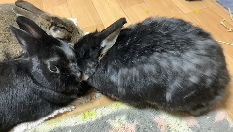 D5740344-8806-44F4-83C1-F087008E8978