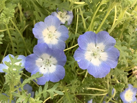 F0A67B6E-3DF5-4326-AFD7-4FF8D8E43E5C