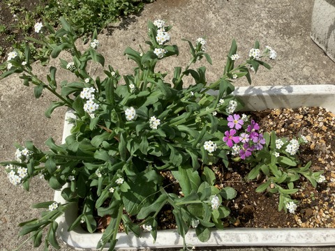 7B181F02-320A-4F09-8F40-22E48BCDDA68