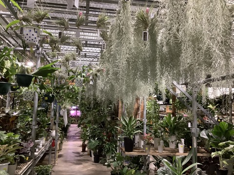 E809DA8D-DA9C-4254-AFDD-F204BDDE87D7