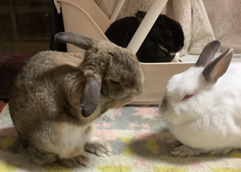 7148242E-553E-4AEB-8442-314612D916B5