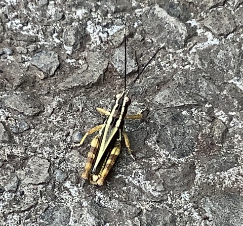 AFF3E359-24A4-45E8-9186-CACA9F2A6060