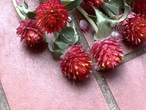 8DAD0CC6-43C0-4982-B82B-8AD678D48B58