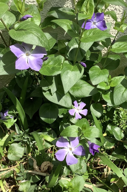 C943EFBE-4482-47A3-AFB1-1CBE81F75FEE