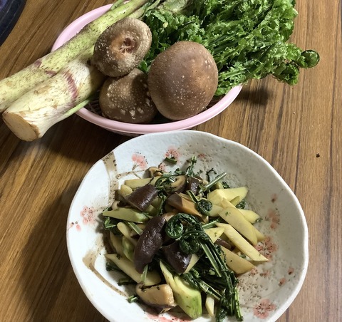 6A4E6C48-D659-4672-9D9D-793AC5CEC3EA