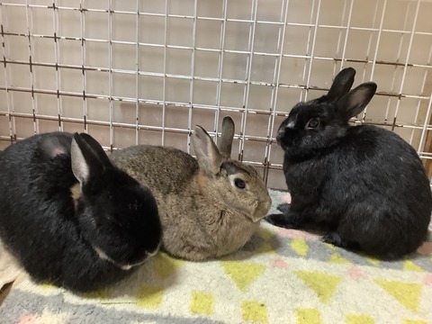 7907ADB7-0513-42E8-B738-7F19FBD03586