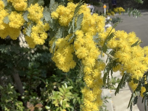 A65B1F80-DDCD-4B45-913D-4E6AB03FF0C5