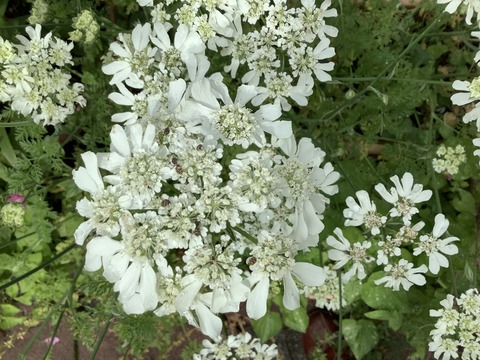 3B43EB95-009F-4D52-A49A-2DED4C4B84E5