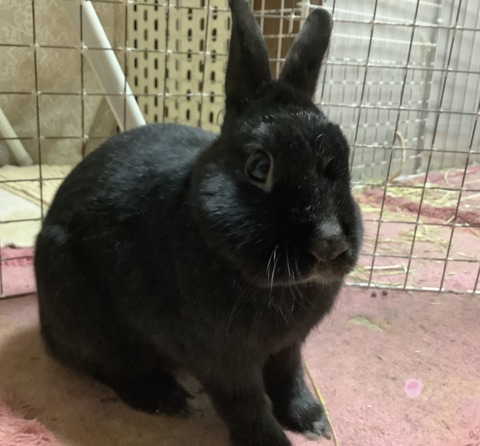 0540FE92-68F2-4C08-989A-D763D3C29606