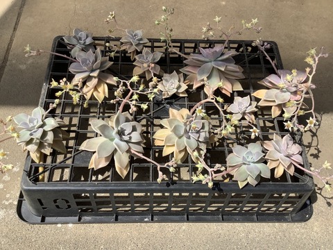 7140FA52-46E6-45C2-9EDF-7B5D5B139322