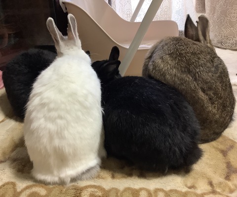 E54D54A5-A14C-41ED-90AE-1409D4F64685