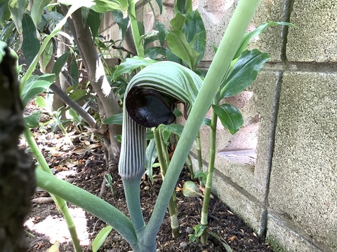 7986D44B-BA4C-4AE2-B12B-AC9B4161839E