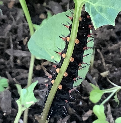 B0C3232A-AA49-4316-BEF3-C662280A34A7