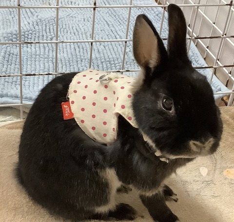 6ABE82CB-4BBE-4AD3-917E-BE5B917C85AE