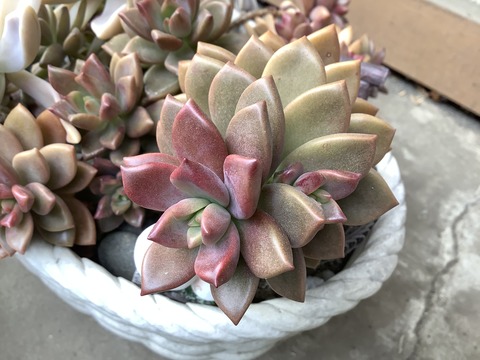 0F475279-F094-4052-BB10-B0A8255FBEE4