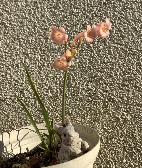 9F1BB1A1-AEF1-4A9E-A1DF-F2D9D1C4BB5A