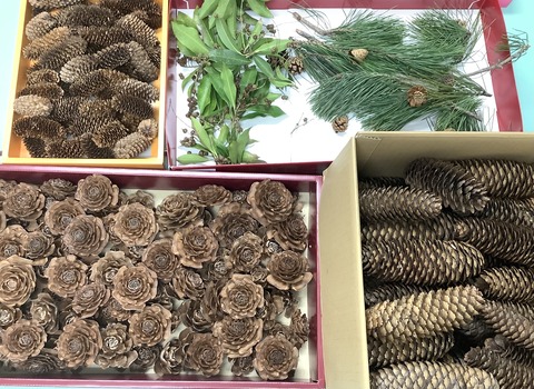 DE200B36-BAA7-4B0F-8CF0-1585C1506111