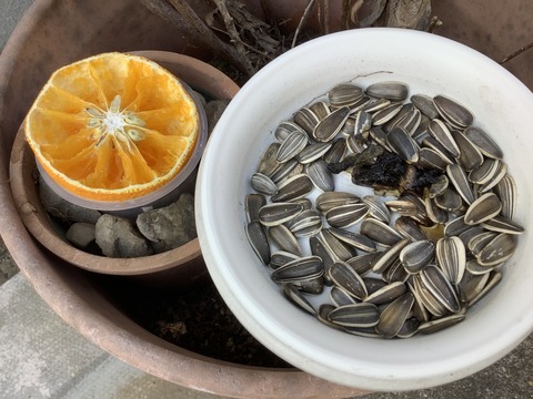 3E8F001A-2C58-44A8-A27F-CE2C96BB7B84