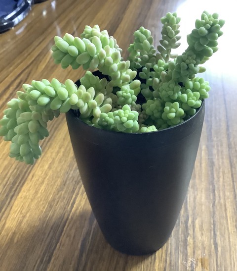 0CC743FC-5599-4DEF-914F-8F5DAC2BC0AD