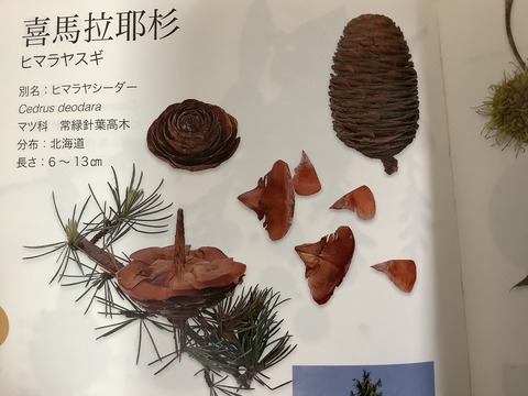 CED75771-2919-4251-8173-55FCBCB08664