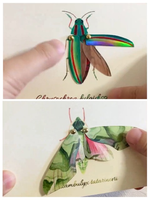 0DDAE4F4-6848-48E6-A556-4ED5954677F5-COLLAGE