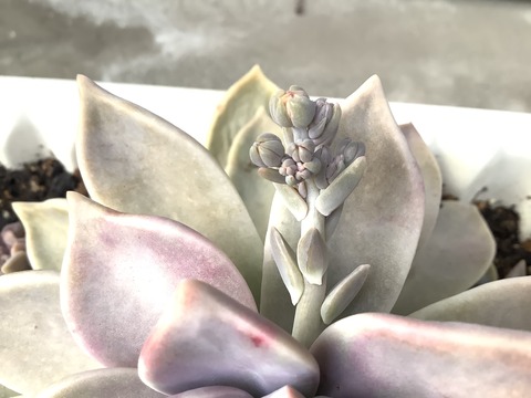 245D41A8-0E30-46A8-9A3B-8F1636BD1F5C