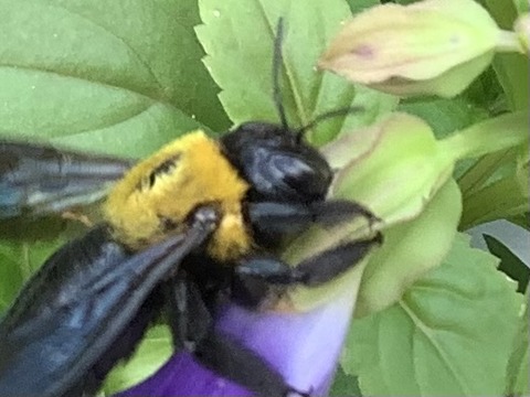 546407F2-34B1-46EC-9F33-C0AAA67281FD