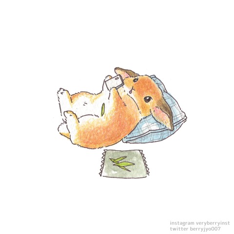 E4CE1C5C-85D4-4CE1-BFD7-CBF2B39A3861