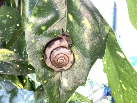 070D07B2-7089-4DB4-9C36-B99BDF6B65DF