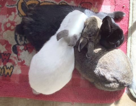 AD3130EF-8C24-4F24-89E1-11CC44823475