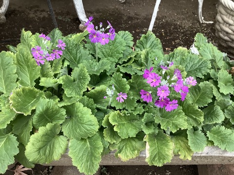 114173A4-97F7-4671-8483-B821190C2C8D