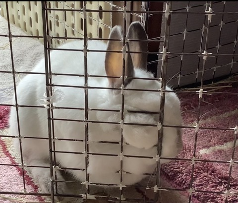 3D879AC4-677F-4C71-B0A8-06DB577F39D7