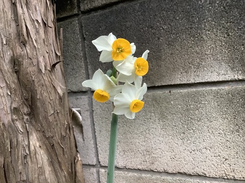 A32FC595-47EE-43BB-8239-302A62F58CF6