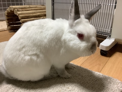 61C96868-5C7B-4574-8347-61E64D78758A