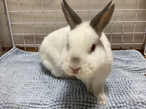 56012600-FB35-4554-83E9-4BD5D8A04CD5