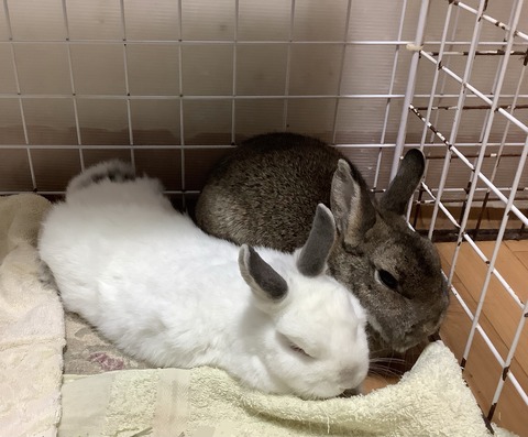 B3EBDDB2-1725-4C2A-B9A1-5814E2AFBCD2