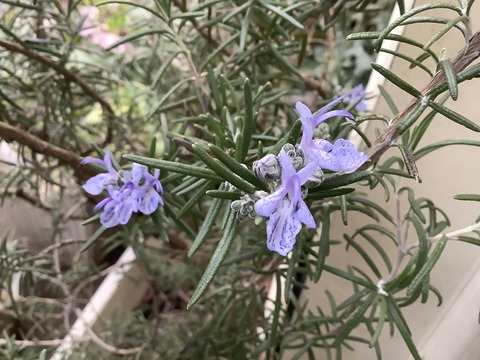 AFA80132-C178-49A2-BDED-D2598AB92F15