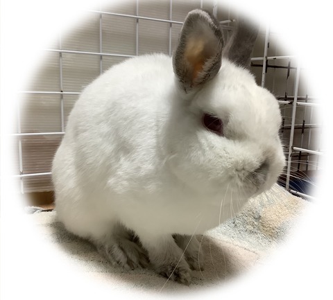 7FB48530-3CB9-42E5-B860-662FC91EFC9A