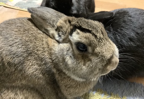 03F3450F-32A5-48C9-BE4F-6C00BF7ADD61