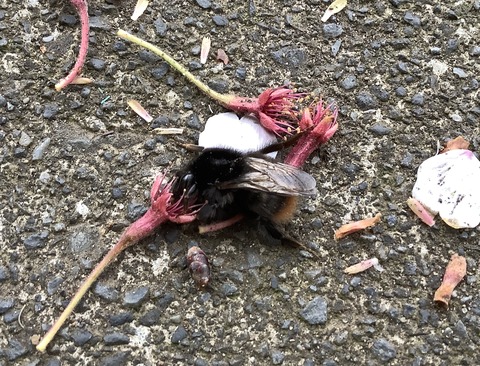 8260E0C1-DCB0-4633-82C2-B4757F328403