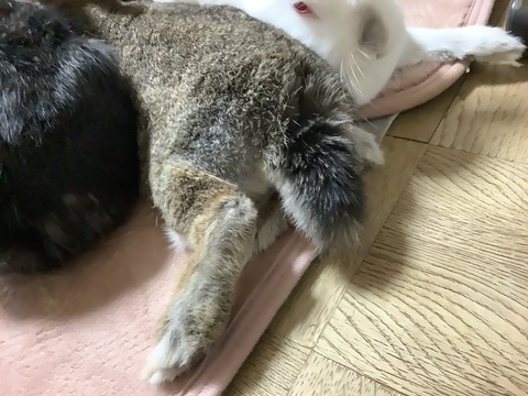 94BD82F6-787D-48F5-B82A-80012B0505FD